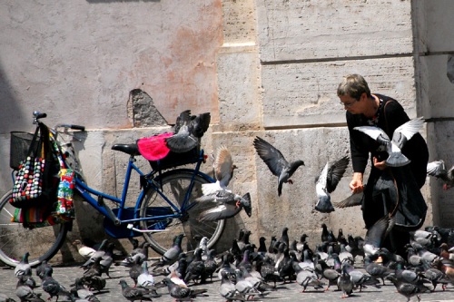 Lady feeding Pigeons